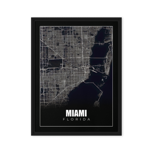 Monochrome Miami: A Bird's Eye Map