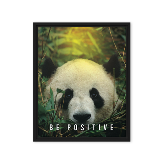 Tranquil Reflections: Be Positive - Panda Framed Affirmations Canvas - KingKanvas