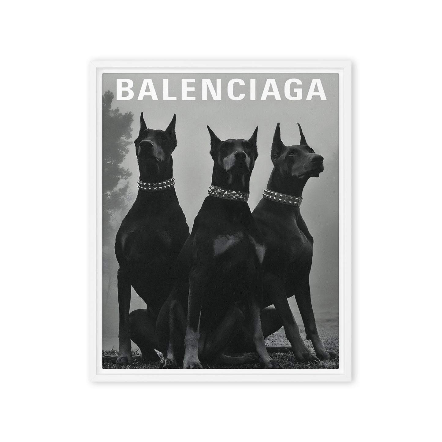 Grandeur in Black: The Balenciaga Great Danes - Premium Framed Canvas