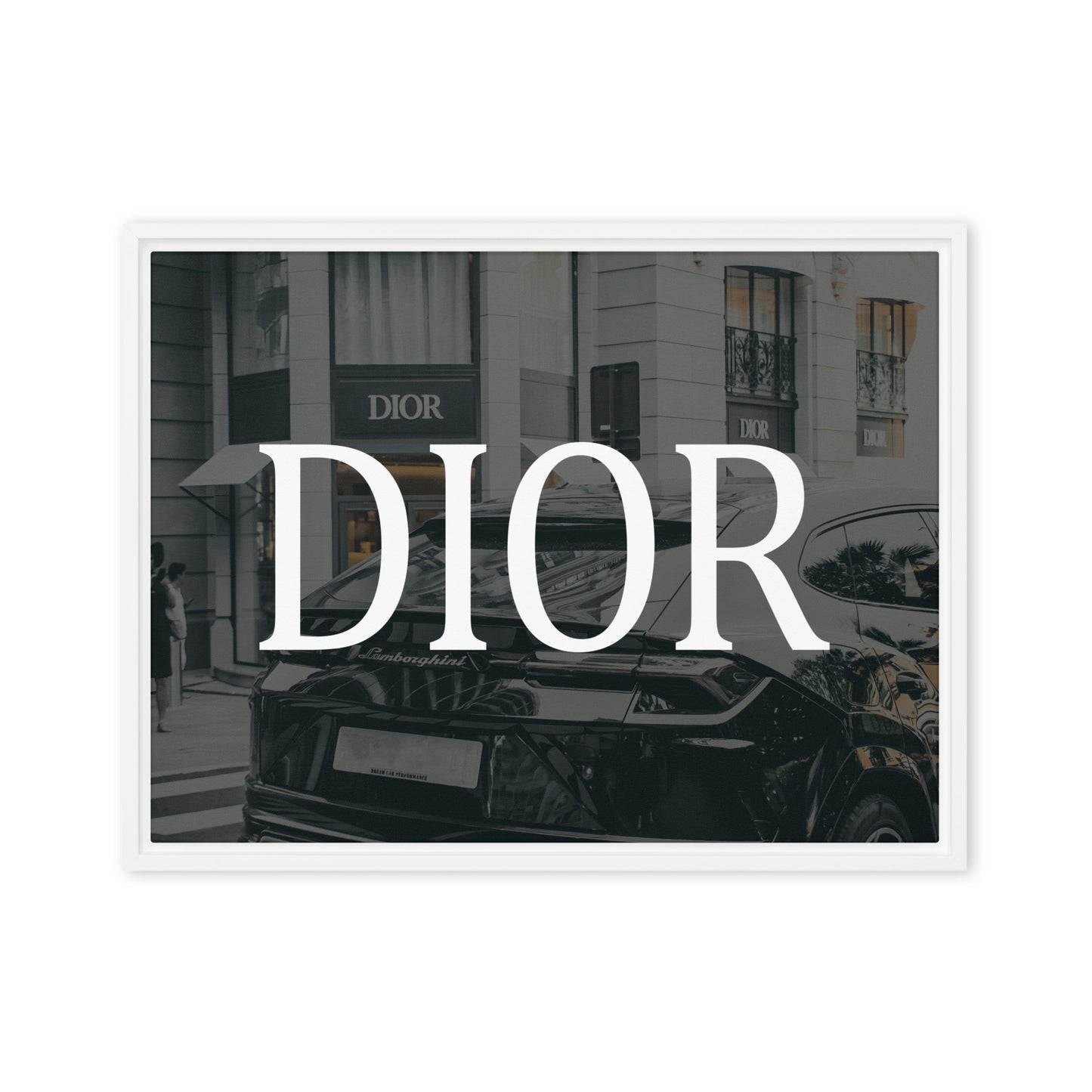 Luxury Elegance: The Premium Dior Canvas Experience